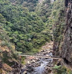 Karangahake Gorge from above 210125