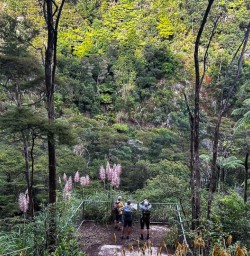 Karangahake Gorge group hiking tour18FEB25