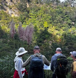 Karangahake Gorge group tour 18FEB25