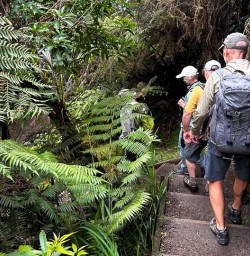 Karangahake Gorge hiking tour 18FEB25