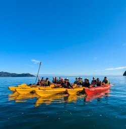 Kayak Abel Tasman G03MAR25