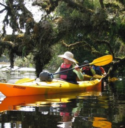 Kayaking Okarito
