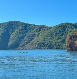 Kayak Queen Charlotte Sound M24MAR25
