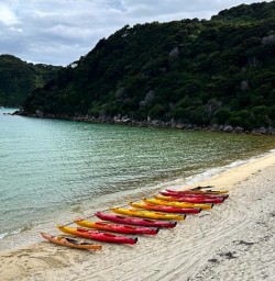 Kayak in Abel Tasman 20JAN25