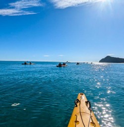 Kayak in Abel Tasman G03MAR25