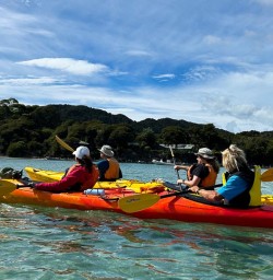 Kayak in Abel Tasman National Park 20JAN25