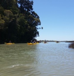 Okarito Lagoon Kayaking