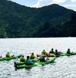 Kayaking Queen Charlotte Sound3