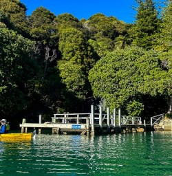 Kayaking in Queen Charlotte Sound 03FEB25 2