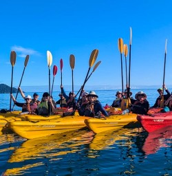 Kayaking tour Abel Tasman G03MAR25
