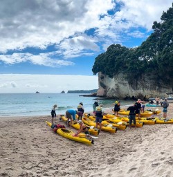 Kayaking tour Cathedral Cove 280125