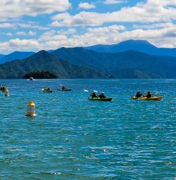 Kayaking tour Queen Charlotte Sound 03FEB25 2
