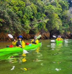 Kayaking tour in Queen Charlotte Sound R03MAR25