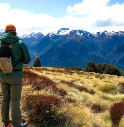 Alpine Views on the Kepler Track