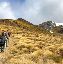 Group hike to Luxmore Hut