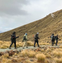 Guests hike the Kepler Track 