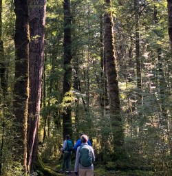 Kepler Track guided tour 17FEB25