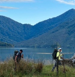 Lake Rotoiti Bushline Hut K24MAR25