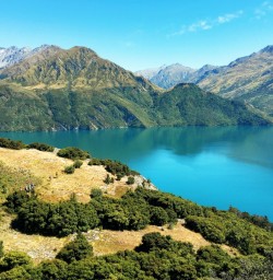 Lake Wanaka Views