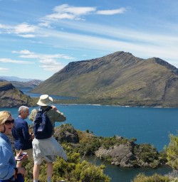Lake Wanaka View