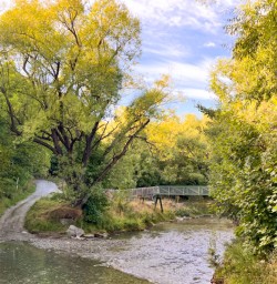 MP Feb Arrowtown