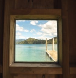 MP Nov through the window