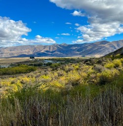 Mackenzie Country Omarama 24MAR25