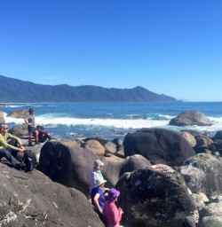 Fur Seal Encounter