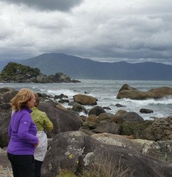 Martins Bay Seal Colony