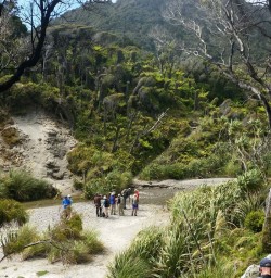 Hollyford Track