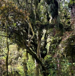 Matahuru 17FEB25