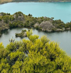 Mau Waho Island 