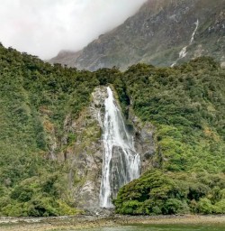 Waterfall on the Milford Cruise