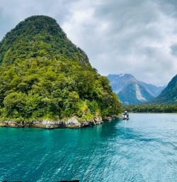 Milford Sound 07FEB25