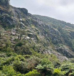 Milford Sound 20JAN25 12