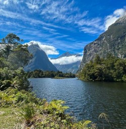 Milford Sound 25FEB25