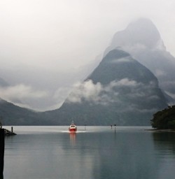 Milford Sound boat approaching