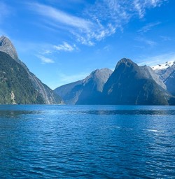 Milford Sound Cruise 20JAN25