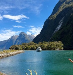 Milford Sound Cruise Fiordland Ps29DEC25
