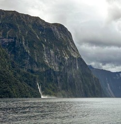 Milford Sound Cruise GW17DEC25
