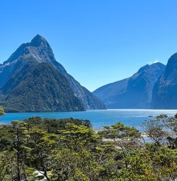 Milford Sound GE10FEB25