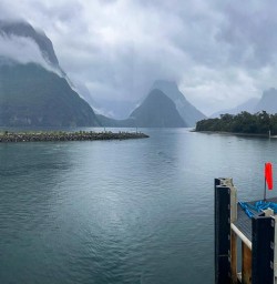 Milford Sound K10MAR25