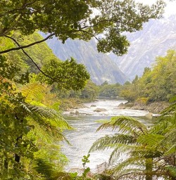 Milford Sound Track GW18NOV25