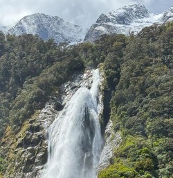 Milford Sound Waterfalls KC03NOV25