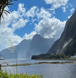 Milford Sound boat tour GW23FEB25