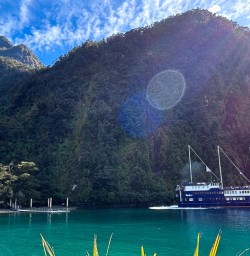 Milford Sound boat