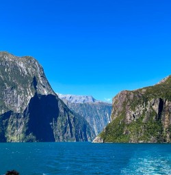 Milford Sound cruise GW09JAN25