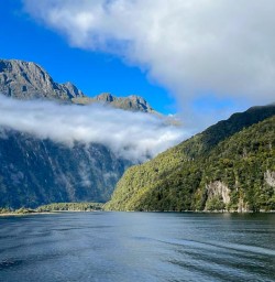 Milford Sound cruise M17MAR25