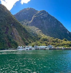 Milford Sound cruise PS29DEC25