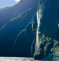 Milford Sound waterfall 24MAR25